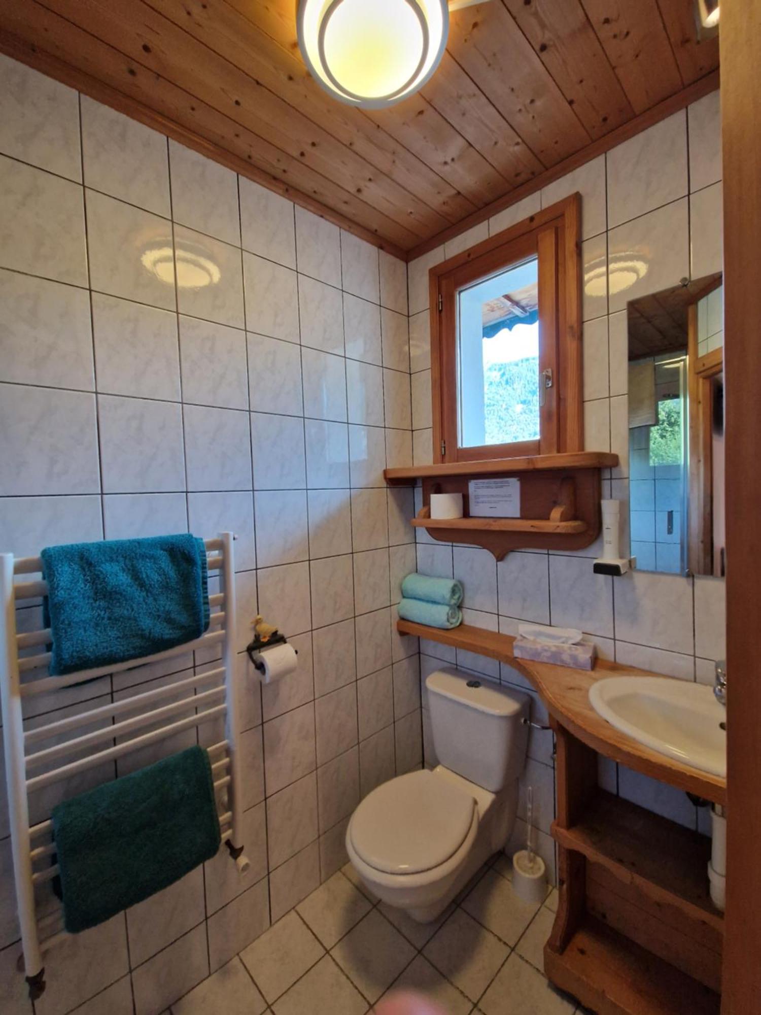 Fleur Des Neiges Hotel Morzine